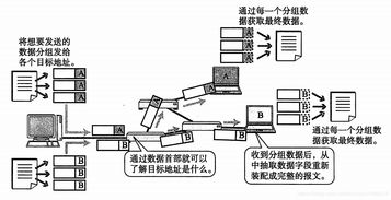 网络通信硬件的构成与传输方式深度解析